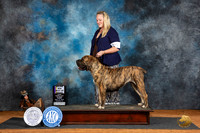 Boerbel #6 Fri BOBM Judge Denise Dean