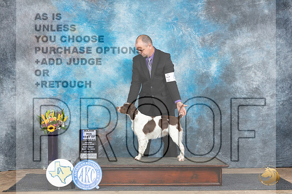 Brittany #8 Sat WBBOWM Judge Sharol Candace Way__JP_9770_Abilene_2024_HR3