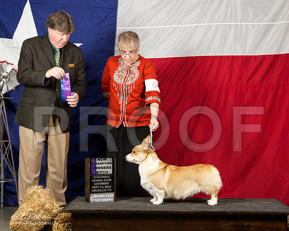 _ST_1685-AmarilloSep2014-HR3