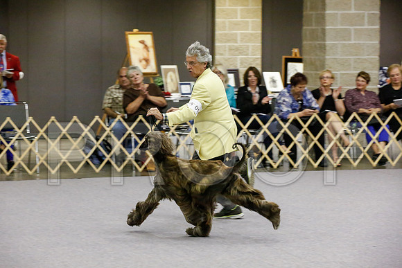 _JJ_9570-AfgBeltonOct2014-HR3