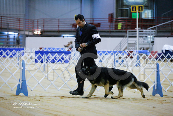 GSD-9453-GRJan14-HR