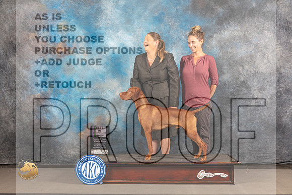 Vizsla #17 WED BISweeps Judge Deborah Edwards_MJ_2661_Houston_2022_HR3
