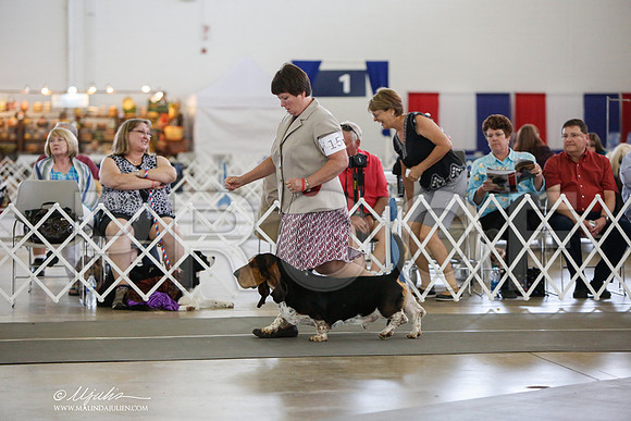_JJ_2922-DallasJul2014-HR3