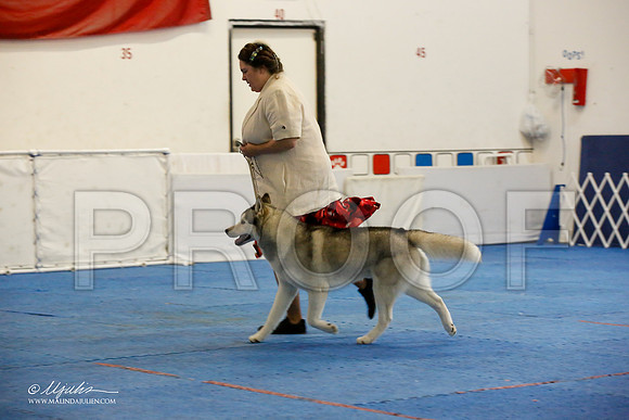 _M3_0413-AddisonHuskyMar2015-HR3