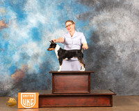 Rat Terrier #275 RBIS Sat2 Judge Kevin Izard-Carroll
