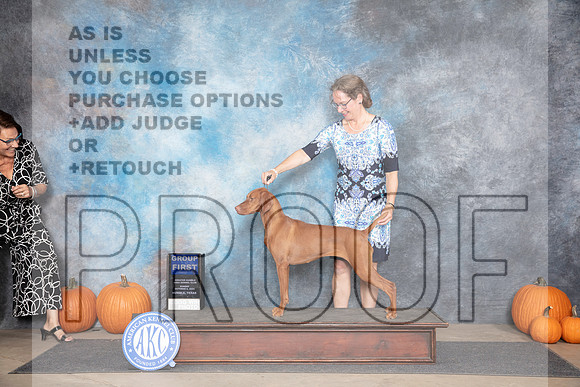 Vizsla #8 Sun G1 Judge Jan Paulk__JP_9508_Humble_2024_HR3