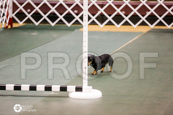 _RH_9049-BsrCtyJun2014-HR3