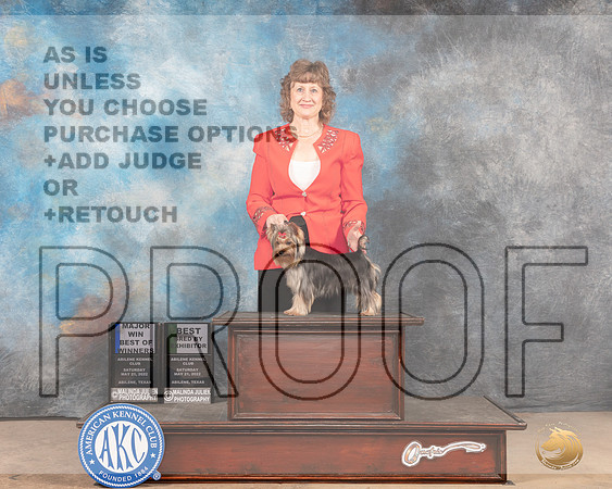 Yorkshire Terrier #19 Sat BOWBBBOBM Judge Peggy McIlwaine-MMJ_3989-Abilene2022-HR3