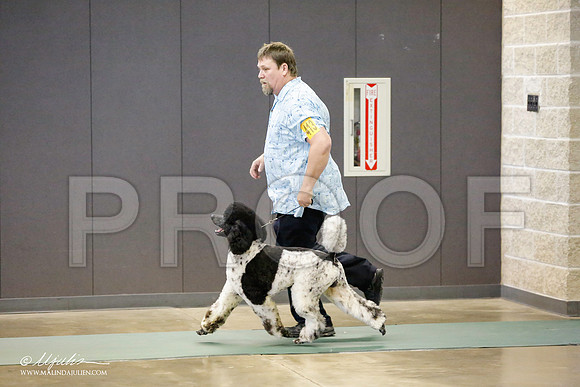 _RH_9861-BeltonJan2015-HR3