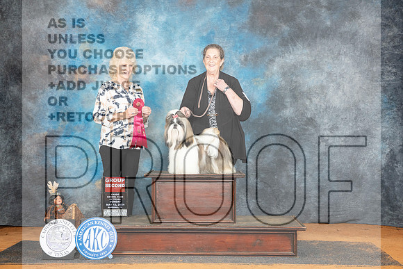 Shih Tzu #8 Sun G2 Judge Lisa Graser__JP_8755_MARSHALL_2024_HR3