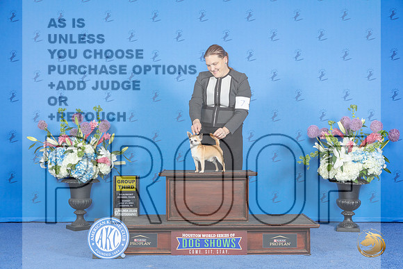 Chihuahua Smooth #7 SUN G3 Judge Douglas Johnson__JP_0931_Houston_2024_HR3