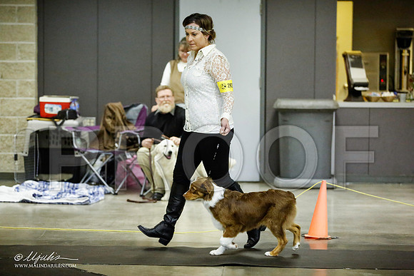 _JJ_6032-BeltonJan2015IABCA-HR3