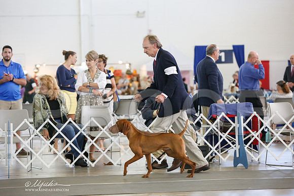 _JJ_0024-DallasJul2014-HR3