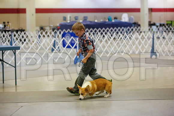 _JN_8974-AmarilloSept2014-HR3