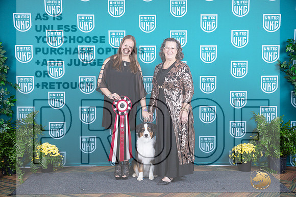 Australian Shepherd TD__JP_2897_UKCTDI2024_HR3