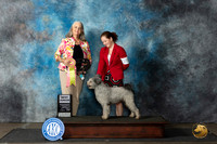 Pumi #J750 Sun BJr Judge Susie Osborn