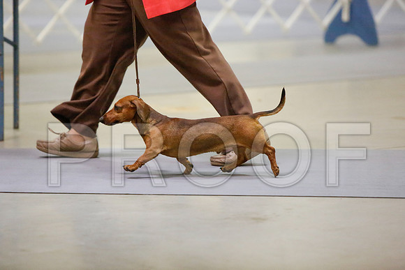 _JN_3970-AmarilloSept2014-HR3