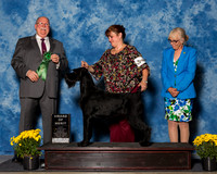 Giant Schnauzers #46 Fri AoM Wallace Cynthia Harry Judge Mr Douglas R Holloway