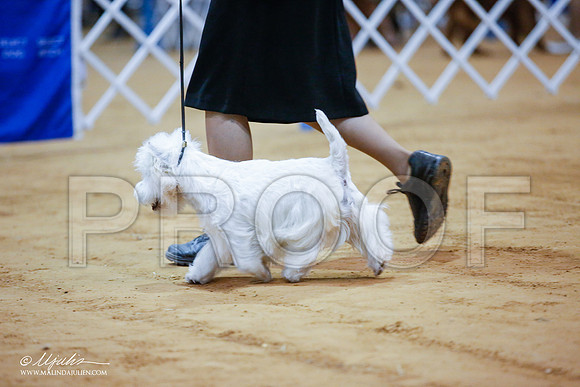 _JJ_5631-GlnRoseJan2015-HR3