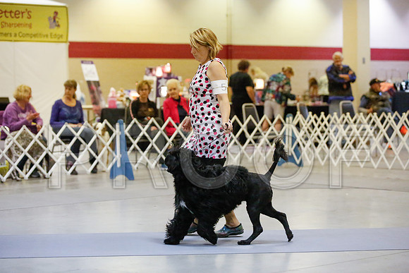 _JN_7037-AmarilloSept2014-HR3