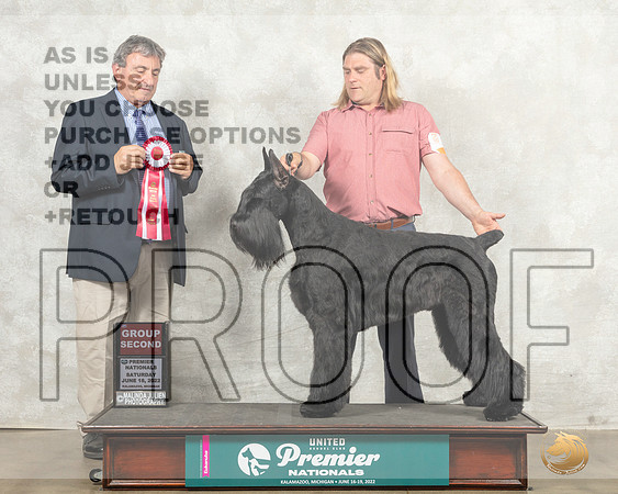 Giant Schnauzer #288 Sat G2 Judge Ronald Sacca__MJ_8521_Premier_2022_HR3