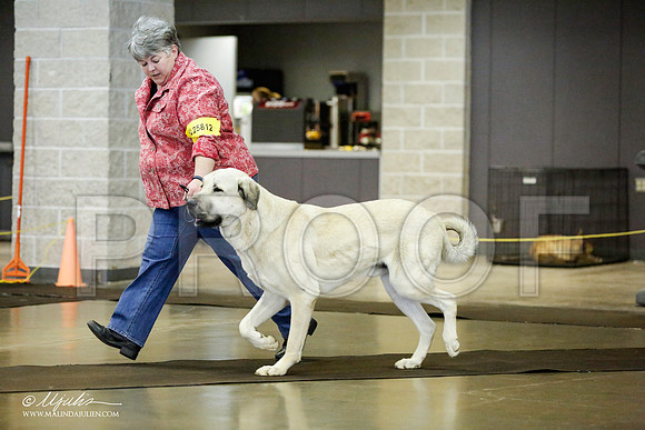 _RH_1506-BeltonJan2015IABCA-HR3