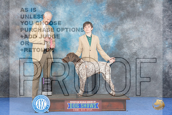 German Shorthaired Pointer #J500 Wed OPJr1 Judge Jon Cole__JP_7523_Houston_2024_HR3