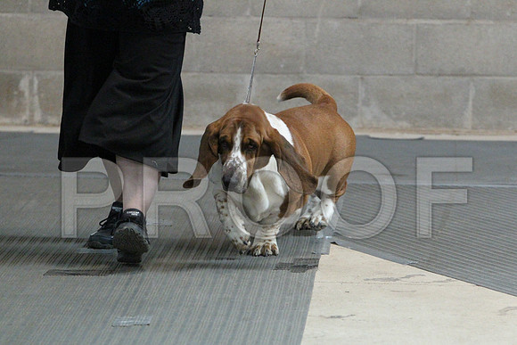 BassetCCL_3214LR