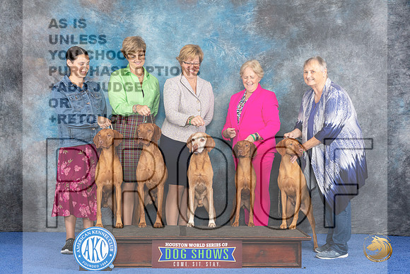 CUSTOM Vizsla Family WED__JP_7560_Houston_2024_HR3