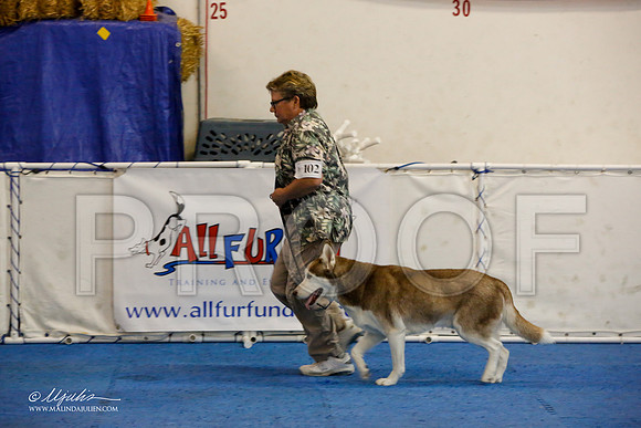 _M3_7838-AddisonHuskyMar2015-HR3