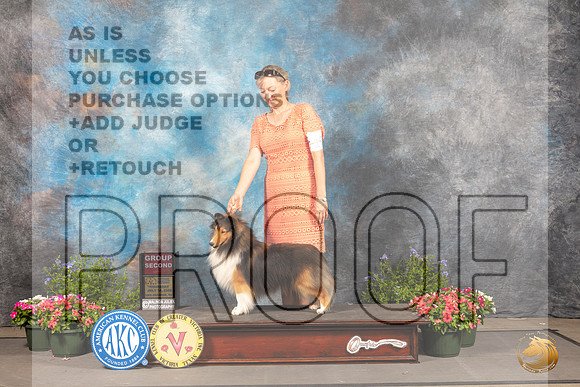Shetland Sheepdog #19 Thur G3 Judge David Bolus_MJ_0026_SA_2022_HR3