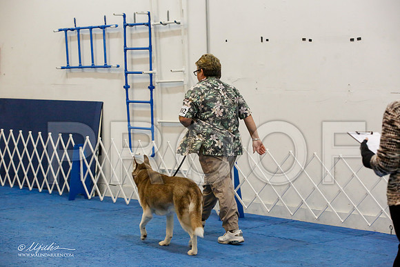 _M3_7455-AddisonHuskyMar2015-HR3