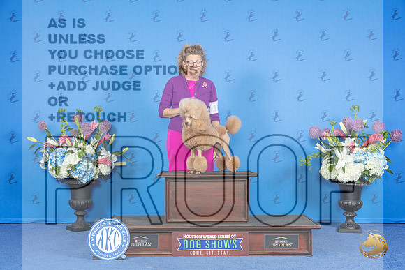 Poodle Miniature #12 SUN OHG2 Judge James Moses__JP_0906_Houston_2024_HR3
