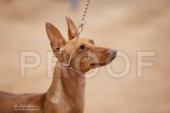 _RH_8074-TxArJun2014-HR3