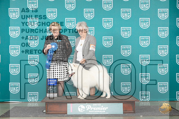 American Eskimo #854 Sat G1 Judge Deb Allen__JP_2618_Premier_2024_HR3