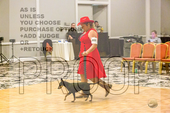 Manchester Terrier MTOY Candids-JJL_2277-Hstn2022_HR3