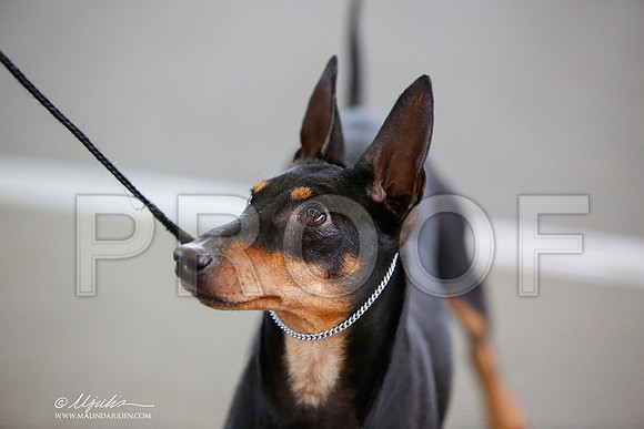 _JJ_2211-DallasJul2014-HR3