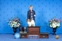 Papillon #11 Sat BOBWDBOWOHG1 Judge Nancy Liebes