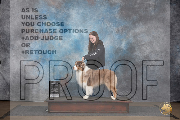 Australian Shepherd @255 Sun NCh Judge Chandra Martin__JP_3049_LongviewTX_2024_HR3