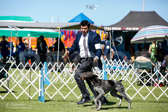_JN_5282-AlamogordoOct2014-HR3