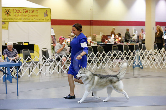 _JJ_9308-AmarilloSept2014-HR3