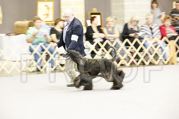 _JJ_2165-AfgBeltonOct2014-HR3