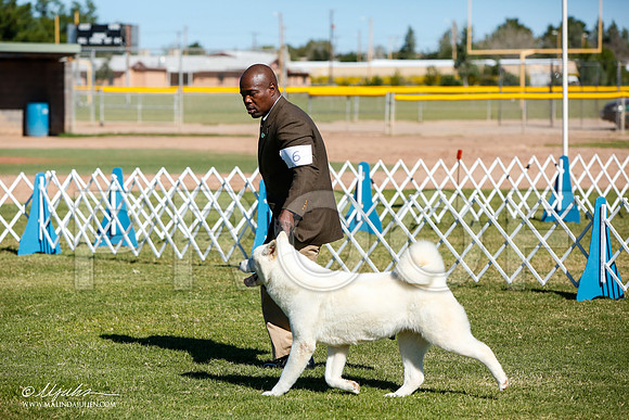 _JJ_4478-AlamogordoOct2014-HR3