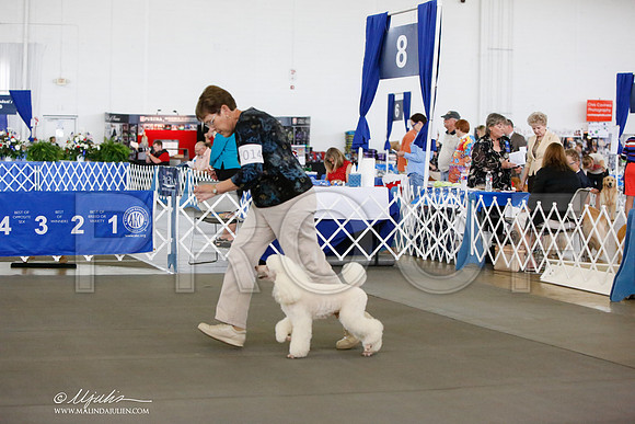 _JN_8043-DallasJul2014-HR3