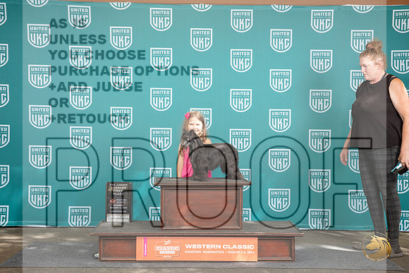 Chinese Crested #282 Sat 1st Jr Judge Kevin Carroll __JP_1347_Longview WA_2024_HR3