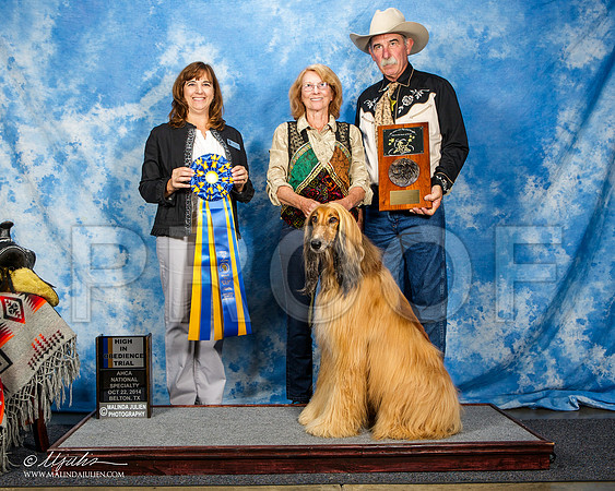 _ST_4547-AfgBeltonOct2014-HR3