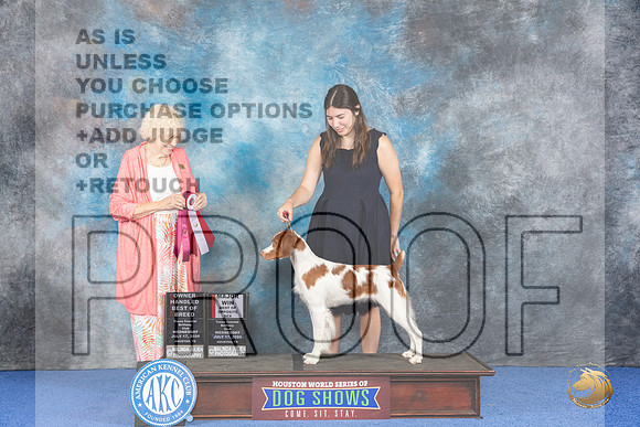 Brittany #30 WED BOS OHBOB M Judge Nancy Liebes__JP_6751_Houston_2024_HR3