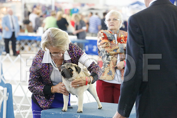 _HR_6742-DallasJul2014-HR3