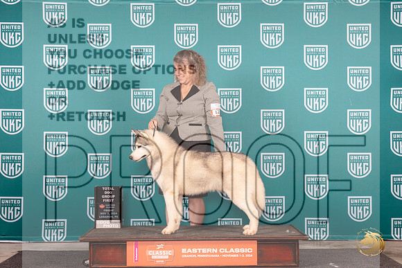 Siberian Husky #120 Fri G1 Judge Dr Kathryn Baxter__JP_1825_UKCEastern_2024_HR3