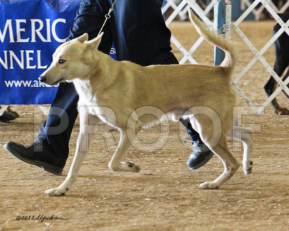 cannan-0876